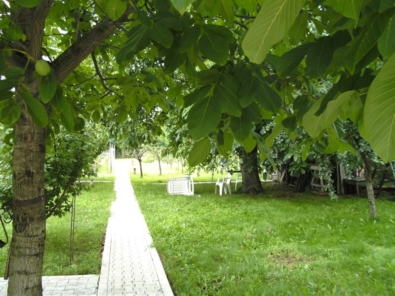 Buftea, Ilfov. Iuliu Maniu 10.