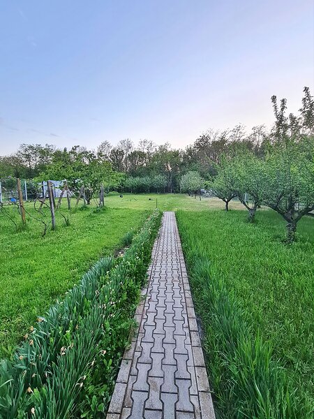 Buftea, Ilfov. Iuliu Maniu 10.