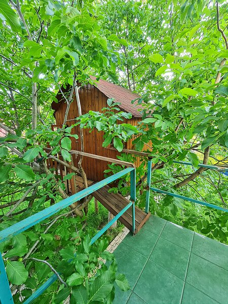 Buftea, Ilfov. Iuliu Maniu 10.