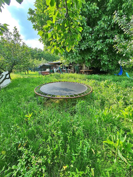 Buftea, Ilfov. Iuliu Maniu 10.