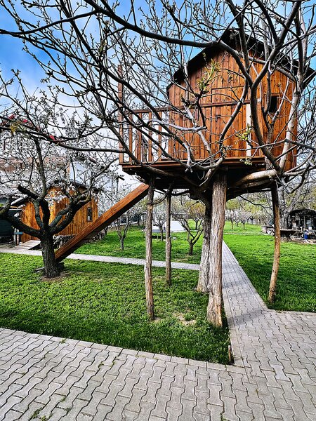 Buftea, Ilfov. Iuliu Maniu 10.