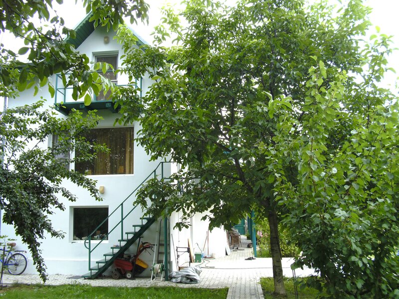 Buftea, Ilfov. Iuliu Maniu 10.