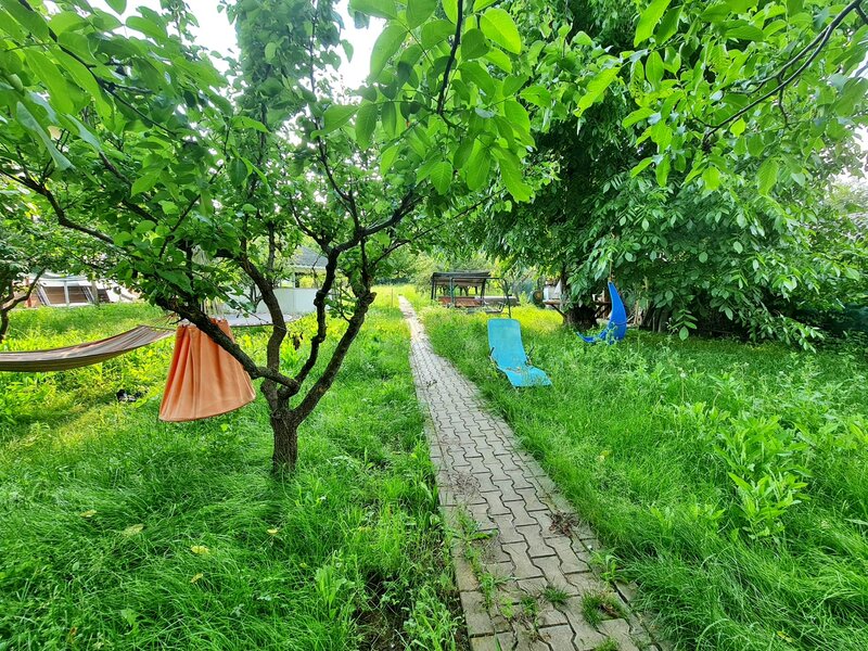 Buftea, Ilfov. Iuliu Maniu 10.